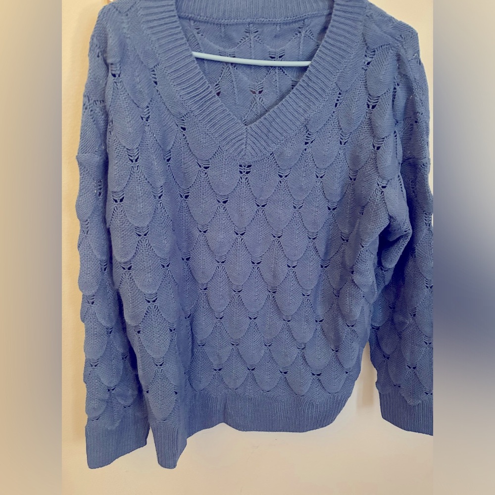Blue Sweater